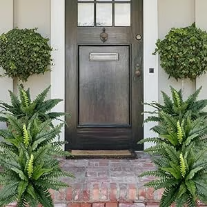 🔥Last Day 75% OFF--🌿Lifelike Artificial Boston Fern