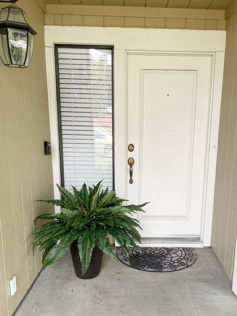 🔥Last Day 75% OFF--🌿Lifelike Artificial Boston Fern