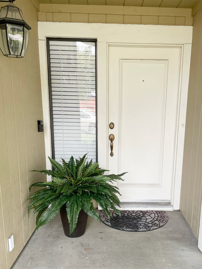 🔥Last Day 75% OFF--🌿Lifelike Artificial Boston Fern