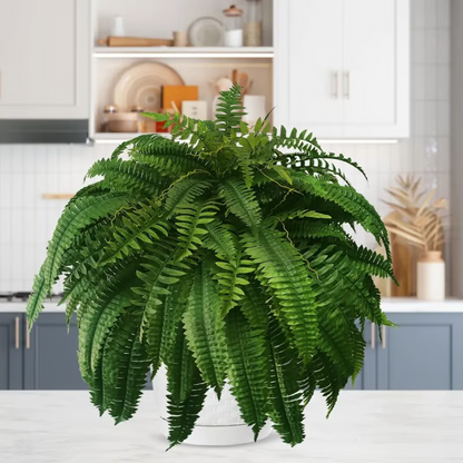 🔥Last Day 75% OFF--🌿Lifelike Artificial Boston Fern