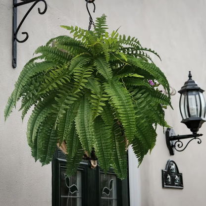 🔥Last Day 75% OFF--🌿Lifelike Artificial Boston Fern