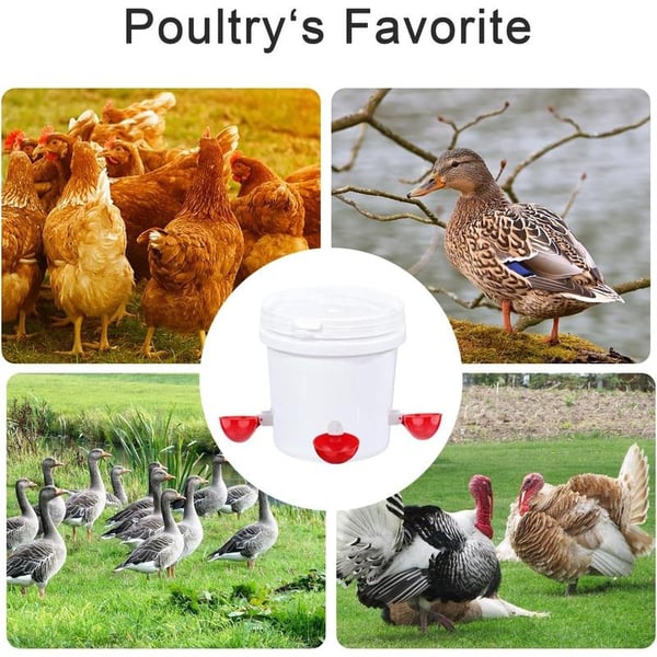 🎁HOT SALE PROMOTION 49% OFF-🐔Chicken Waterer Cups, 6 Packs Large Chicken Watering Cups