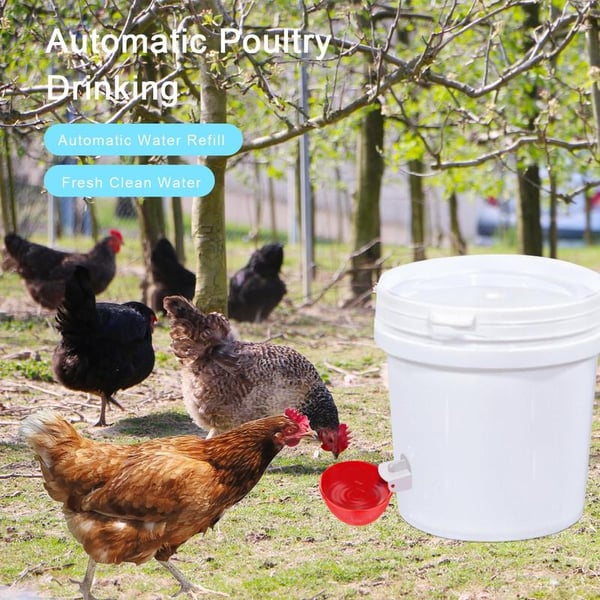 🎁HOT SALE PROMOTION 49% OFF-🐔Chicken Waterer Cups, 6 Packs Large Chicken Watering Cups